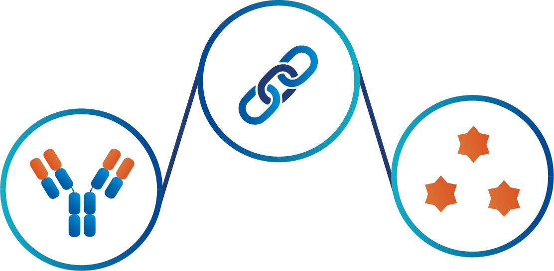 Customized Linker–Drug Design