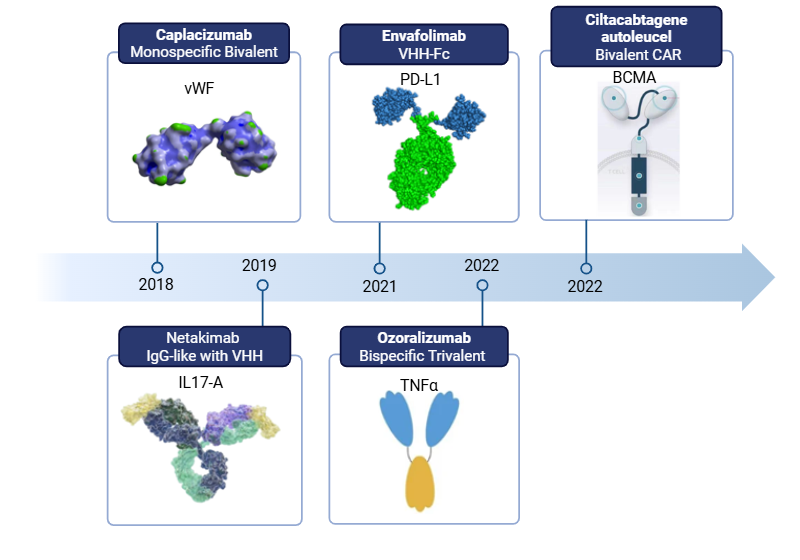 Globally approved camelid VHH-based biotherapeutics.