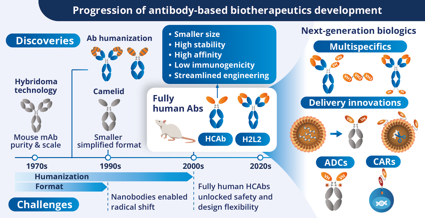 Progression of antibody-based biotherapeutics, from hybridoma technologies to fully human HCAb transgenic platforms.