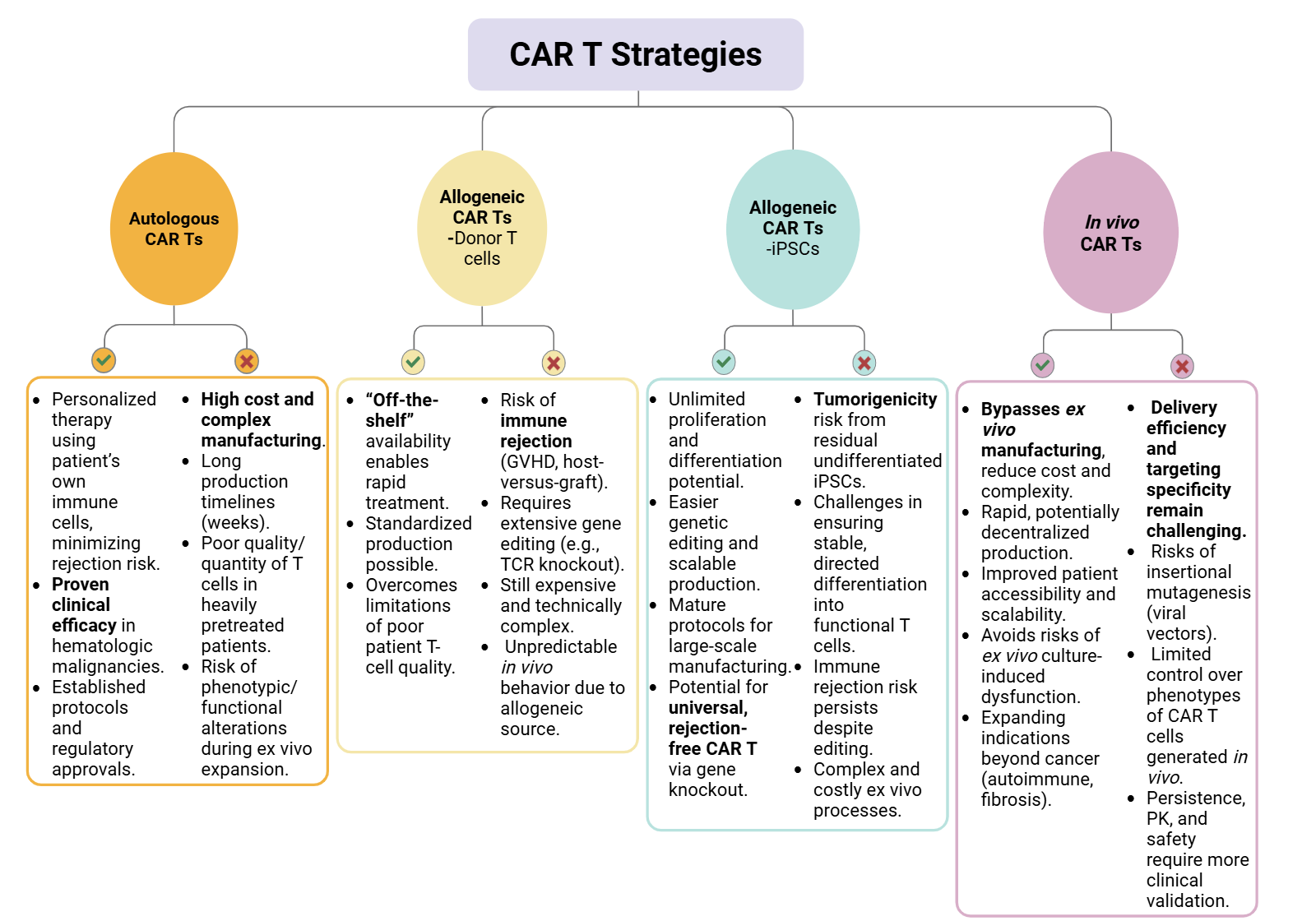 Comparison of CAR T cell strategies; advantages and disadvantages of ex vivo autologous and allogenic CAR development and in vivo CAR approaches