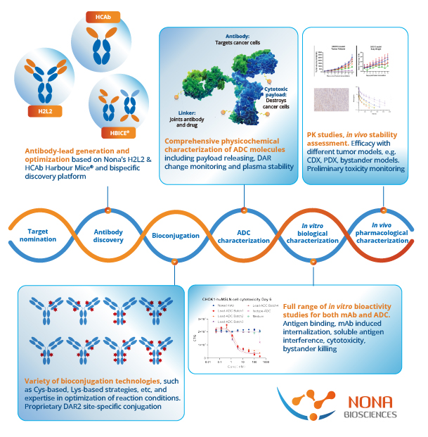 comprehensive end-to-end solutions