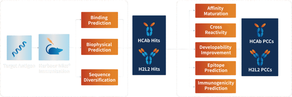 Diagram showing how Hu-mAtrIx™ integrates with the Harbour Mice® antibody discovery workflow, embedding AIbased binding prediction, biophysical assessment, sequence diversification, developability optimization, and immunogenicity prediction to accelerate therapeutic antibody development