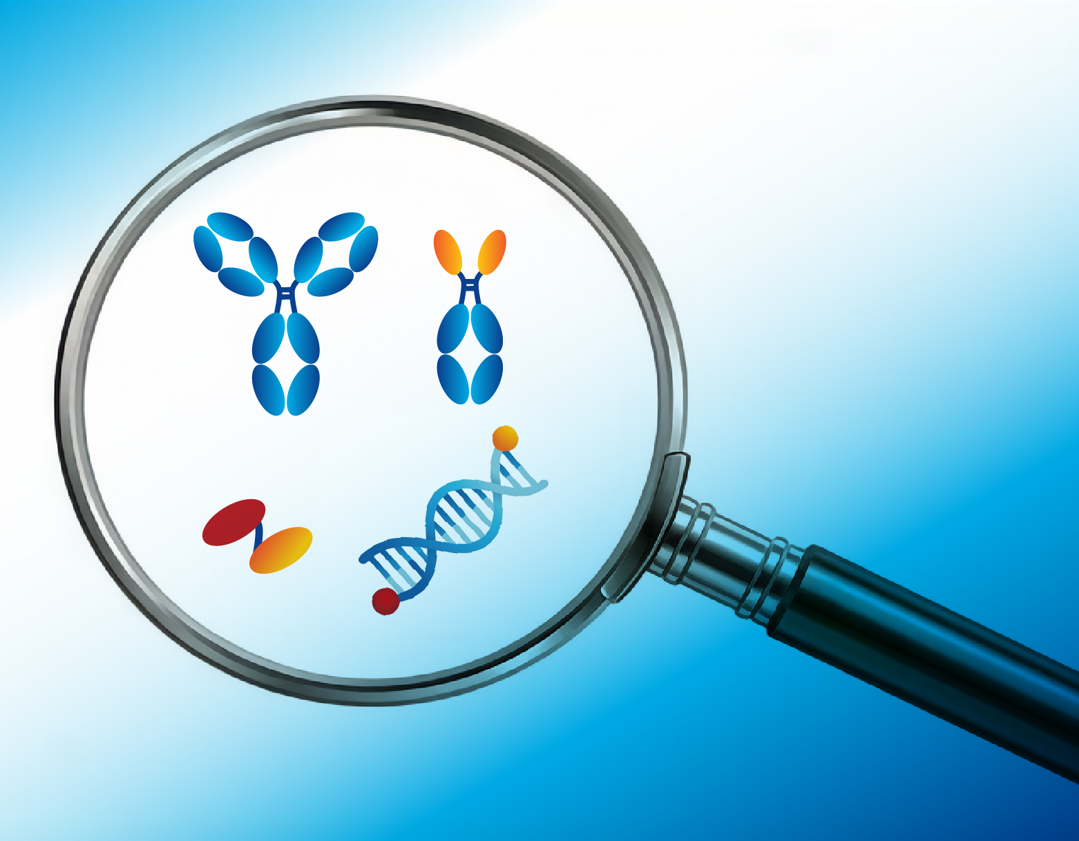 Nona Discovery Capabilities