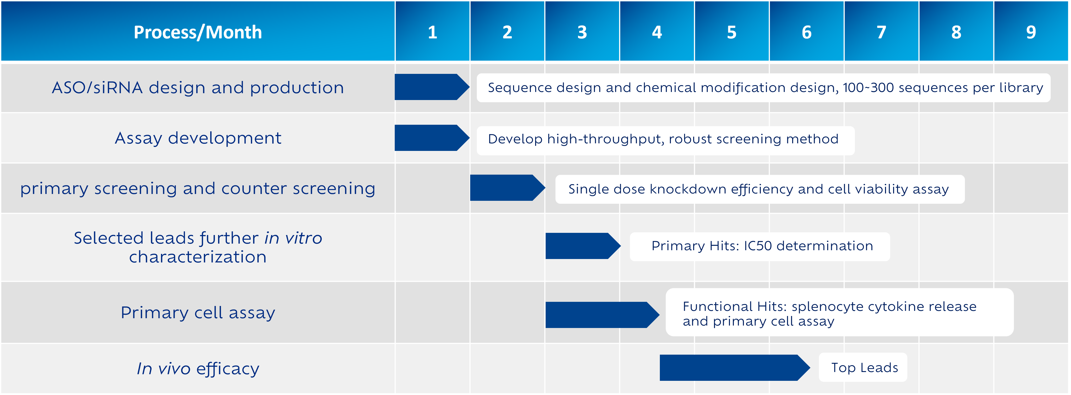 siRNA Discovery Workflow